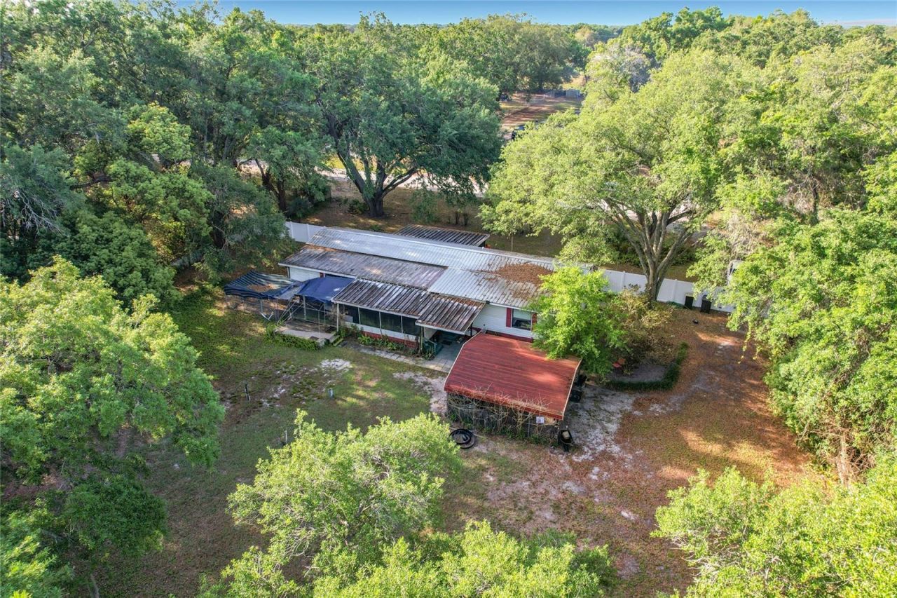 821 Irene Drive, Auburndale, FL 33823 Photo