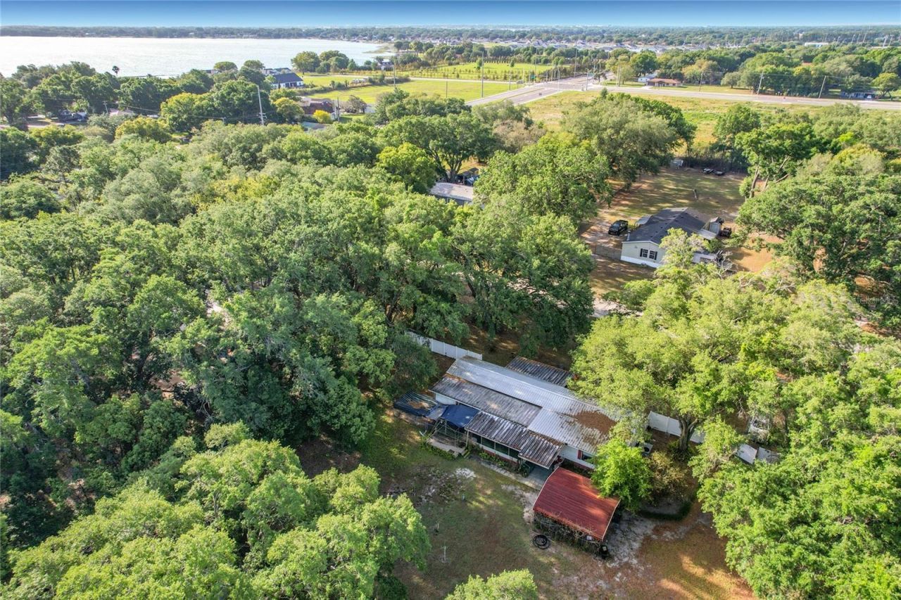 821 Irene Drive, Auburndale, FL 33823 Photo