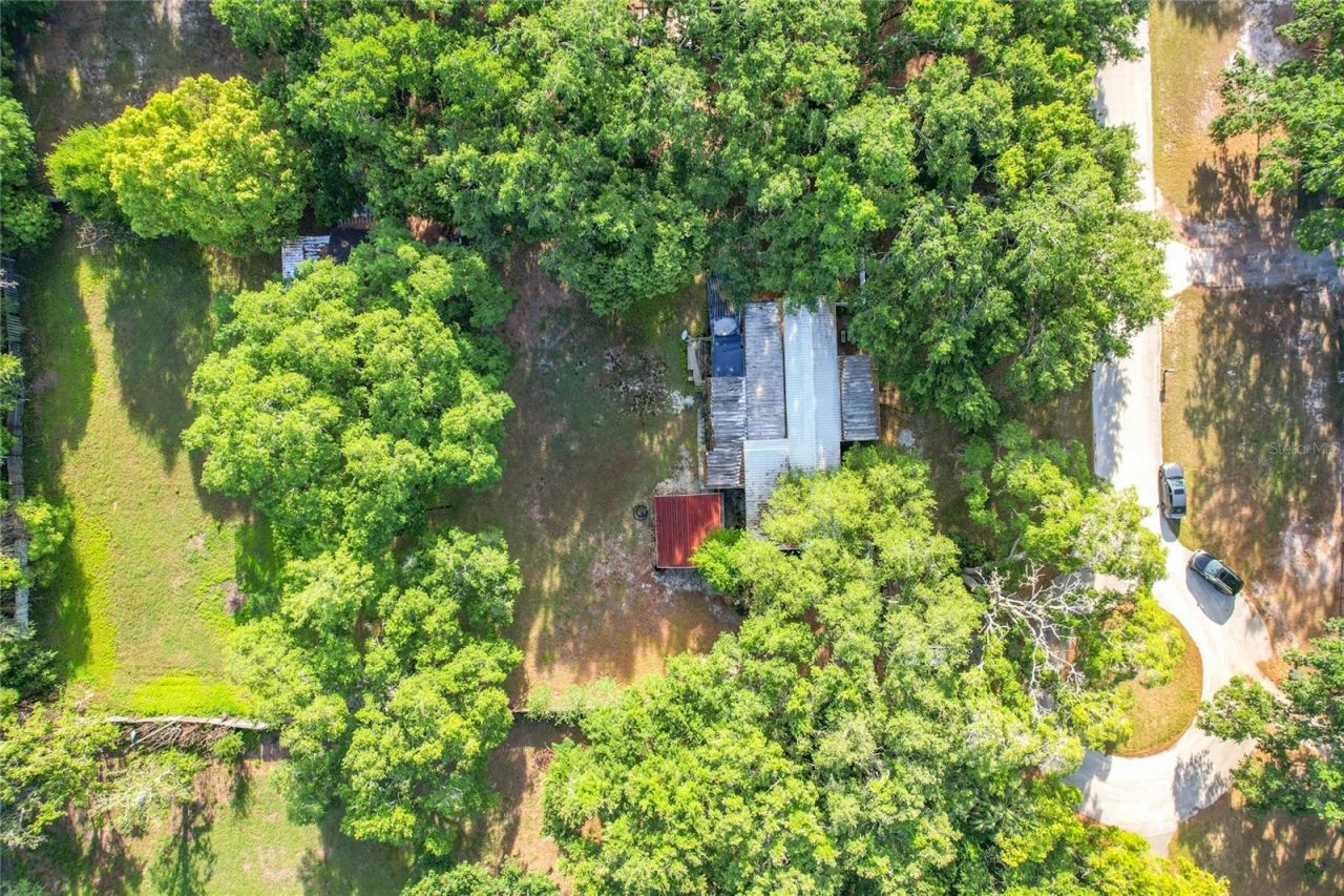 821 Irene Drive, Auburndale, FL 33823 Photo