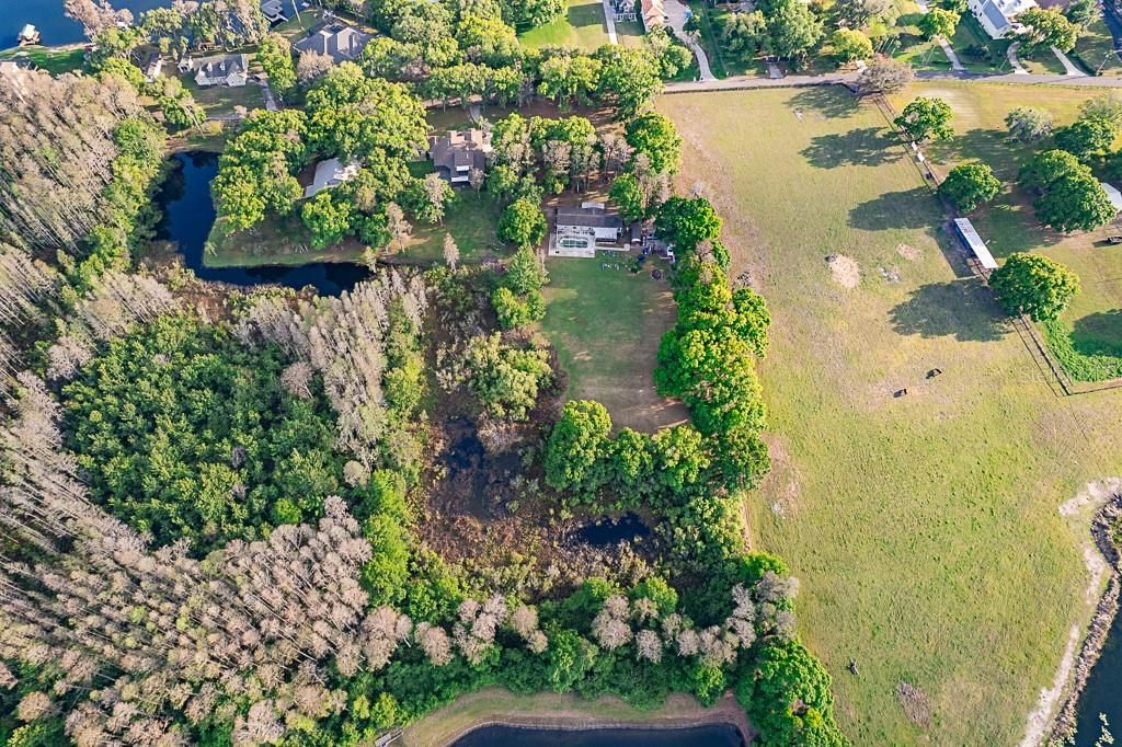 0 Plainview Road, Unit Lot 2, Odessa, FL 33556 Photo