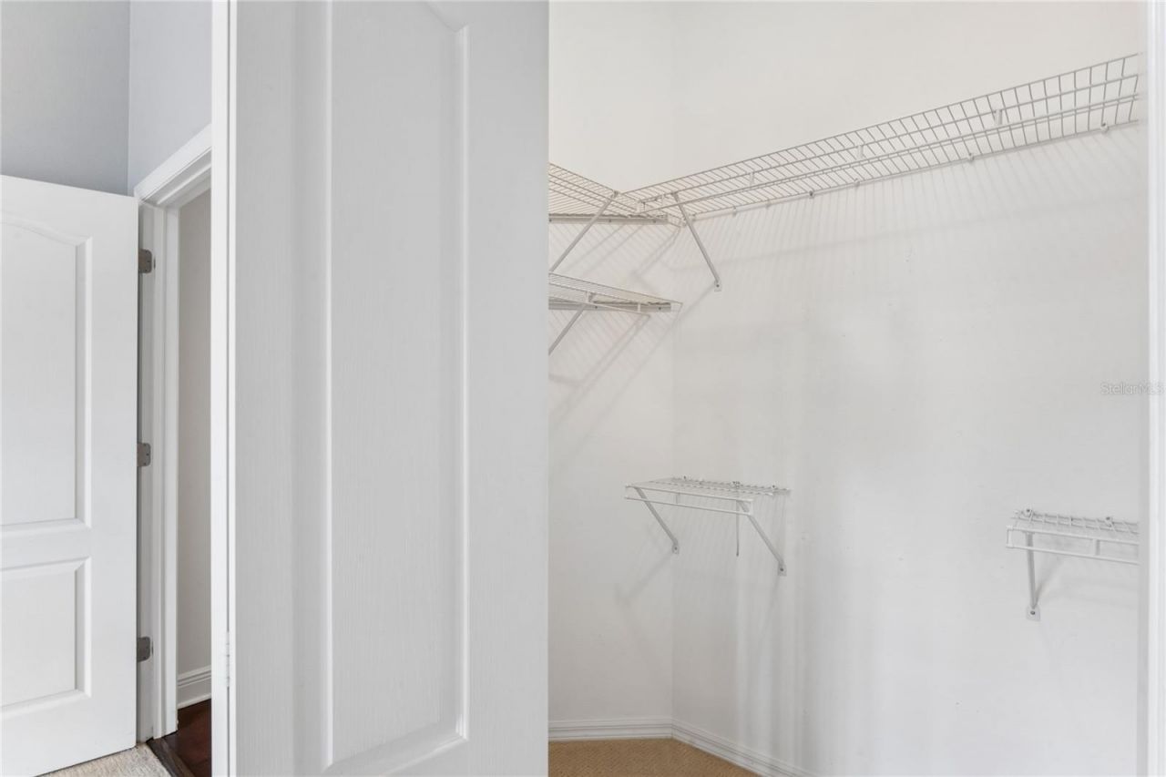 10801 Alico Pass, New Port Richey, FL 34655 Photo