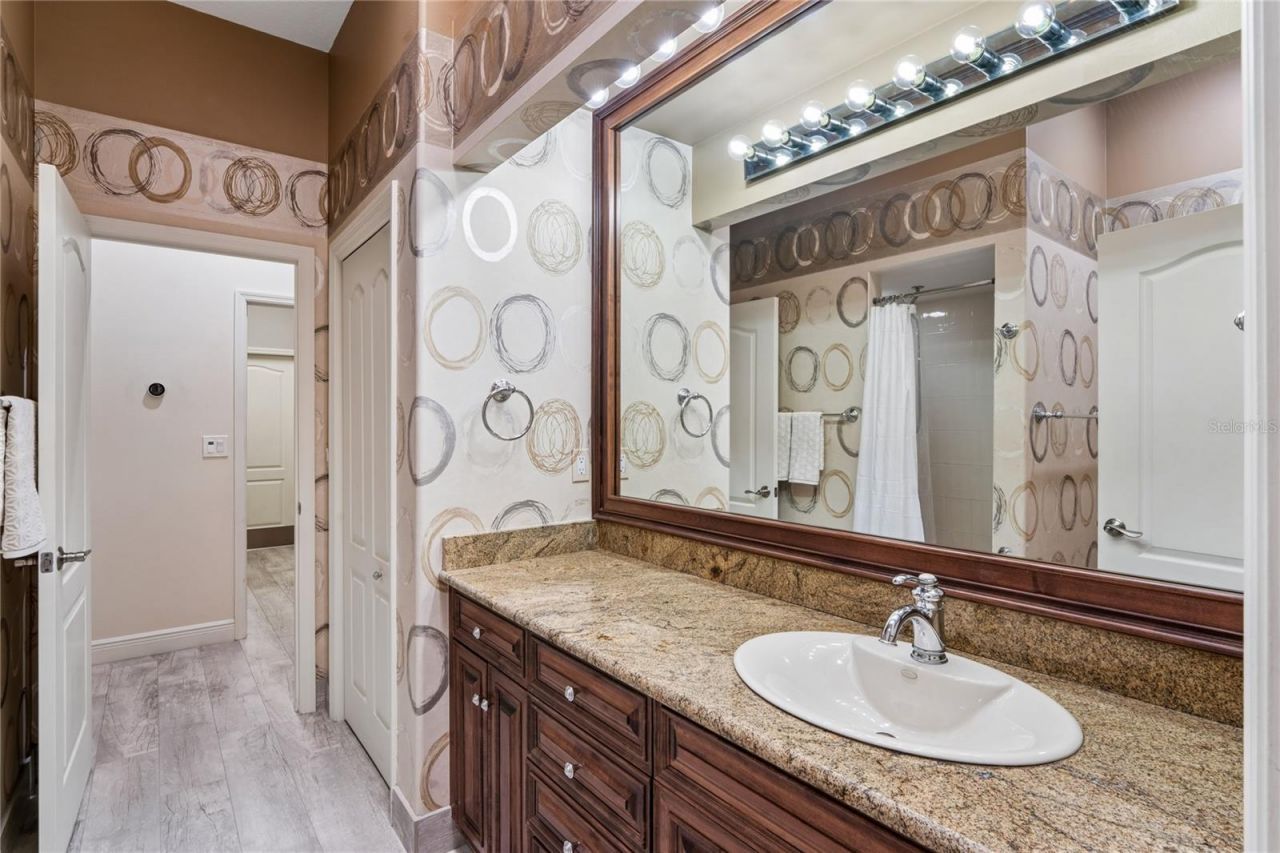 10801 Alico Pass, New Port Richey, FL 34655 Photo