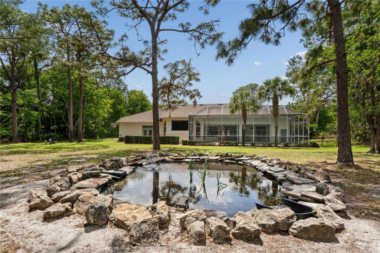 10801 Alico Pass, New Port Richey, FL 34655 Photo