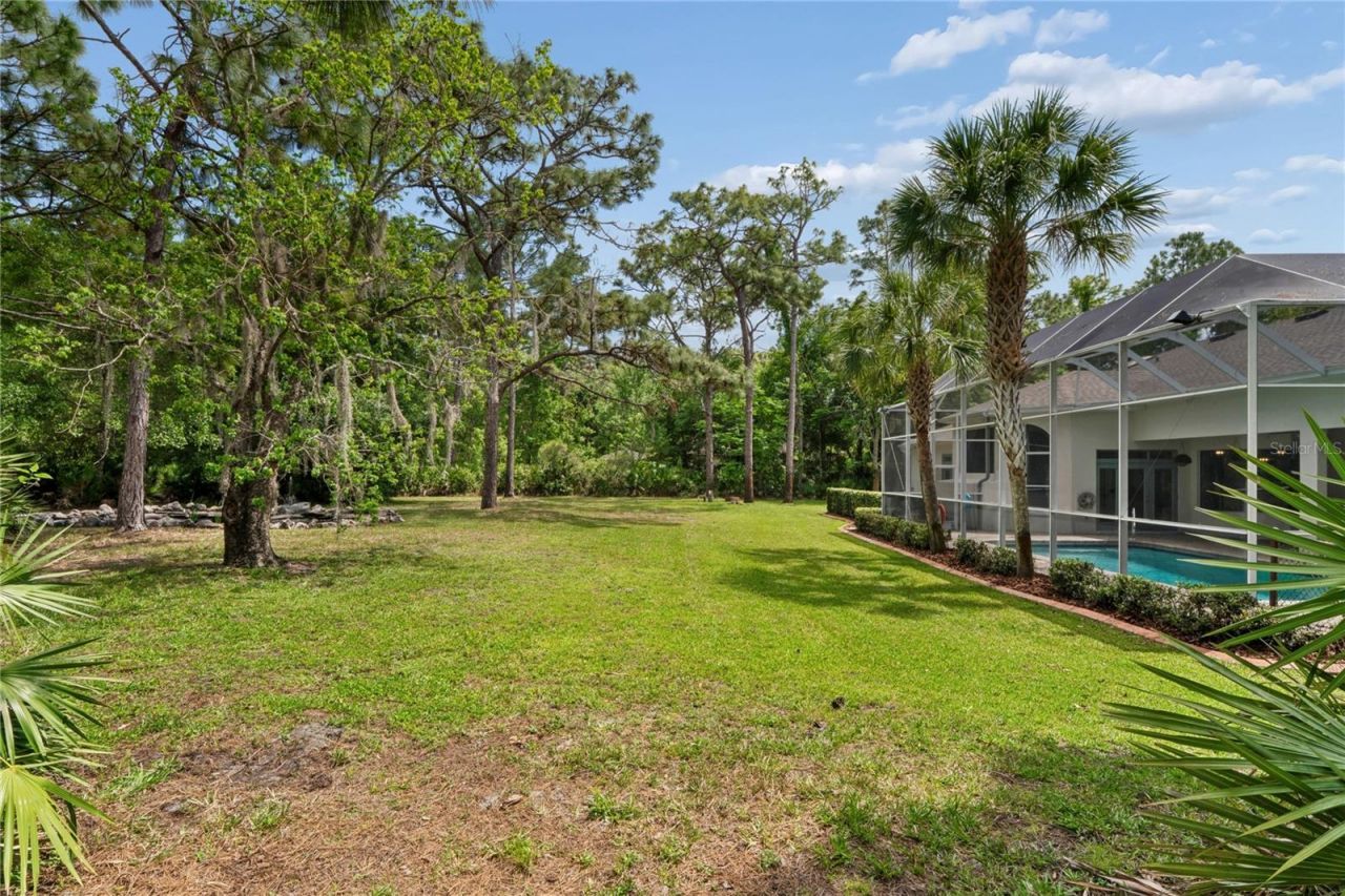 10801 Alico Pass, New Port Richey, FL 34655 Photo