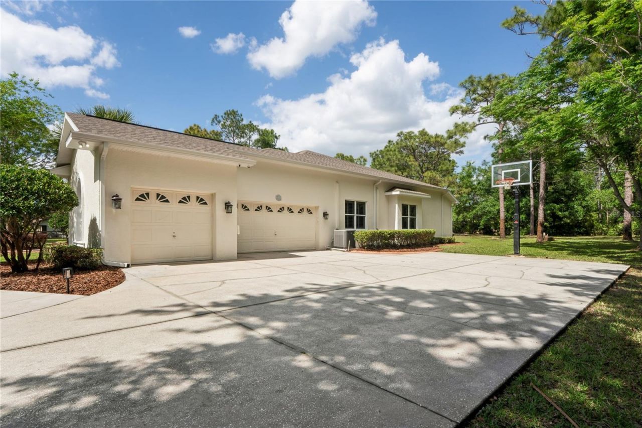 10801 Alico Pass, New Port Richey, FL 34655 Photo