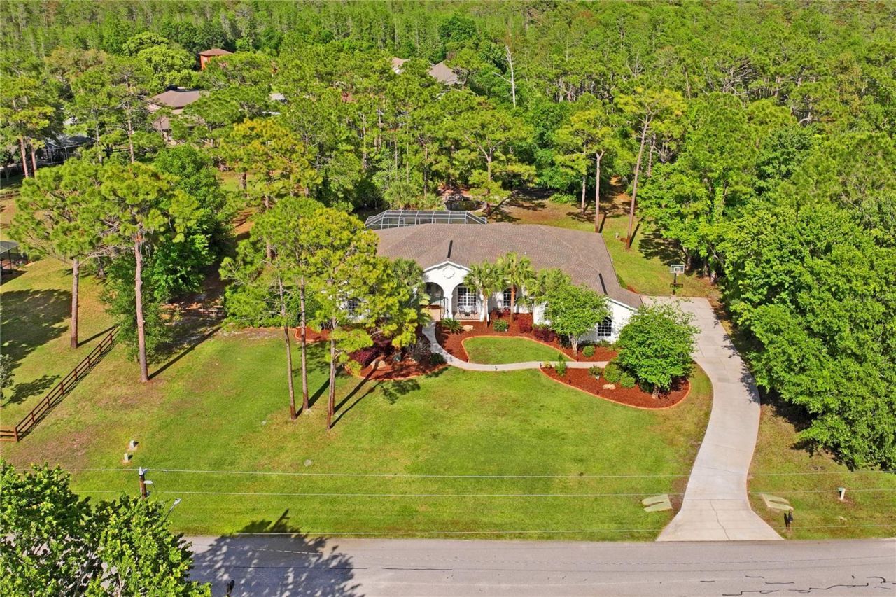 10801 Alico Pass, New Port Richey, FL 34655 Photo