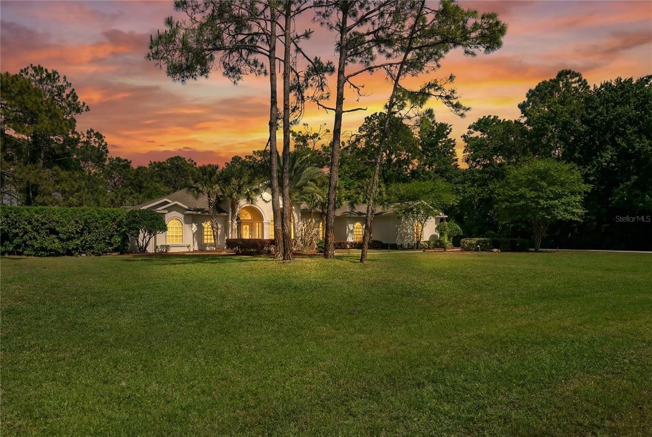 10801 Alico Pass, New Port Richey, FL 34655 Photo