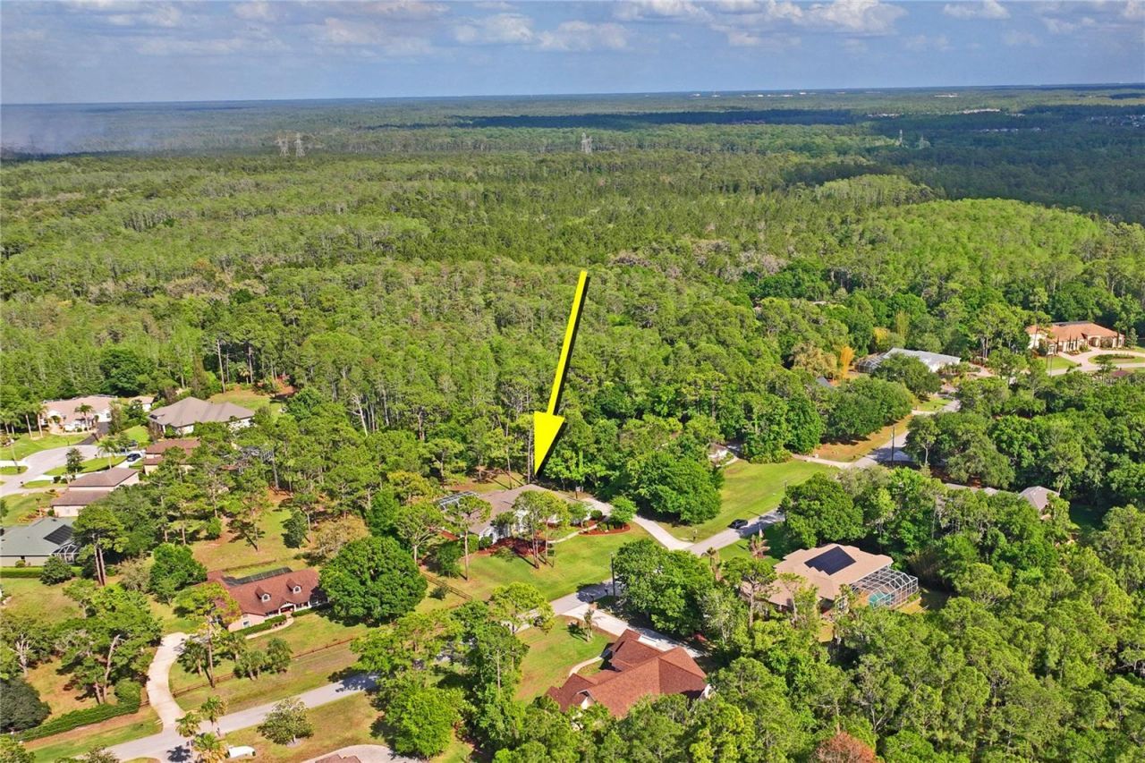 10801 Alico Pass, New Port Richey, FL 34655 Photo