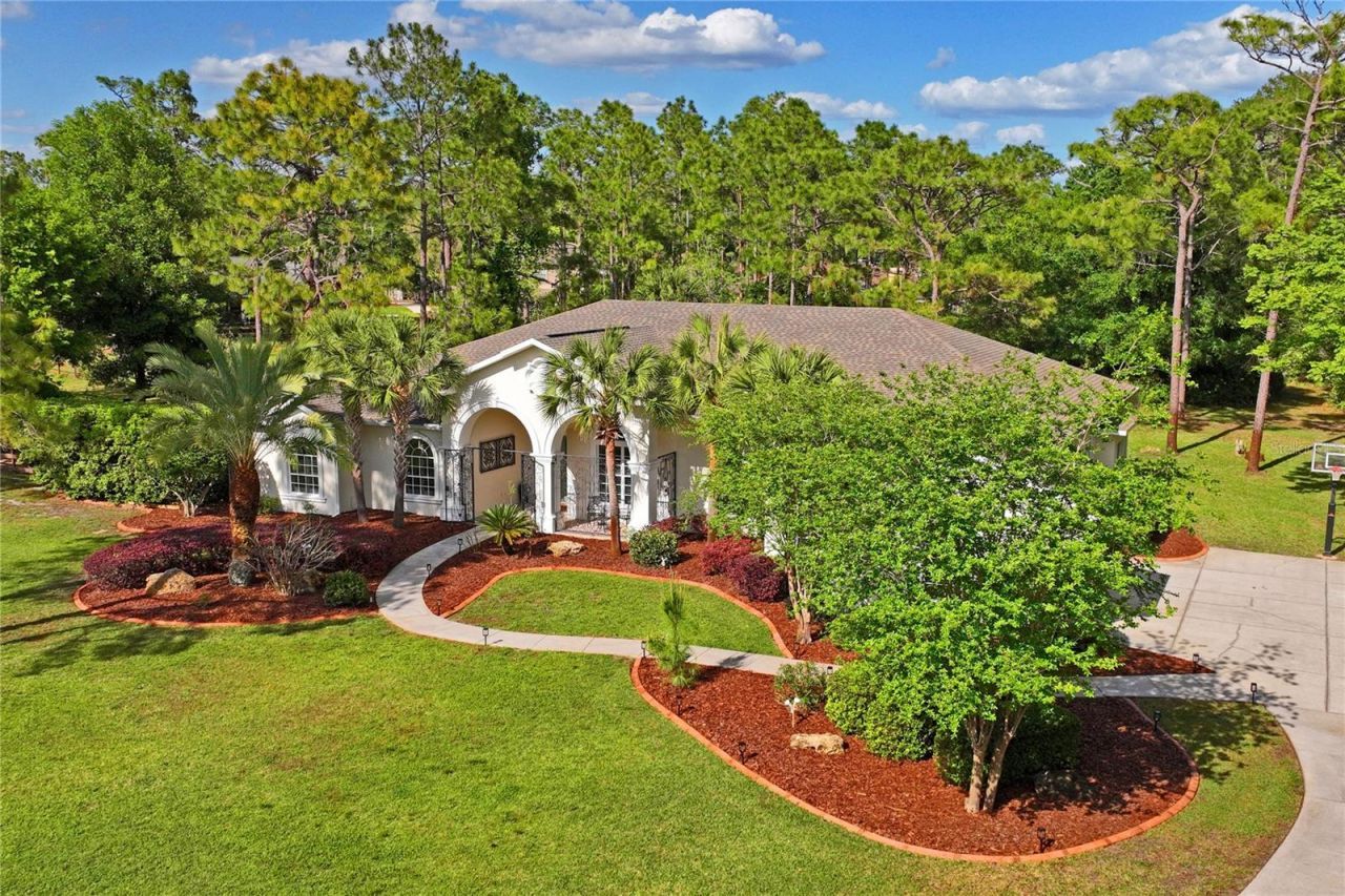 10801 Alico Pass, New Port Richey, FL 34655 Photo