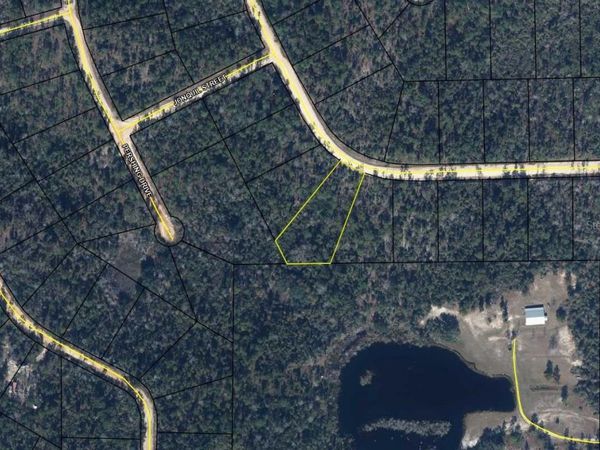 LOT 13 CHRISTIANSTED DRIVE , ALFORD, FL 32420