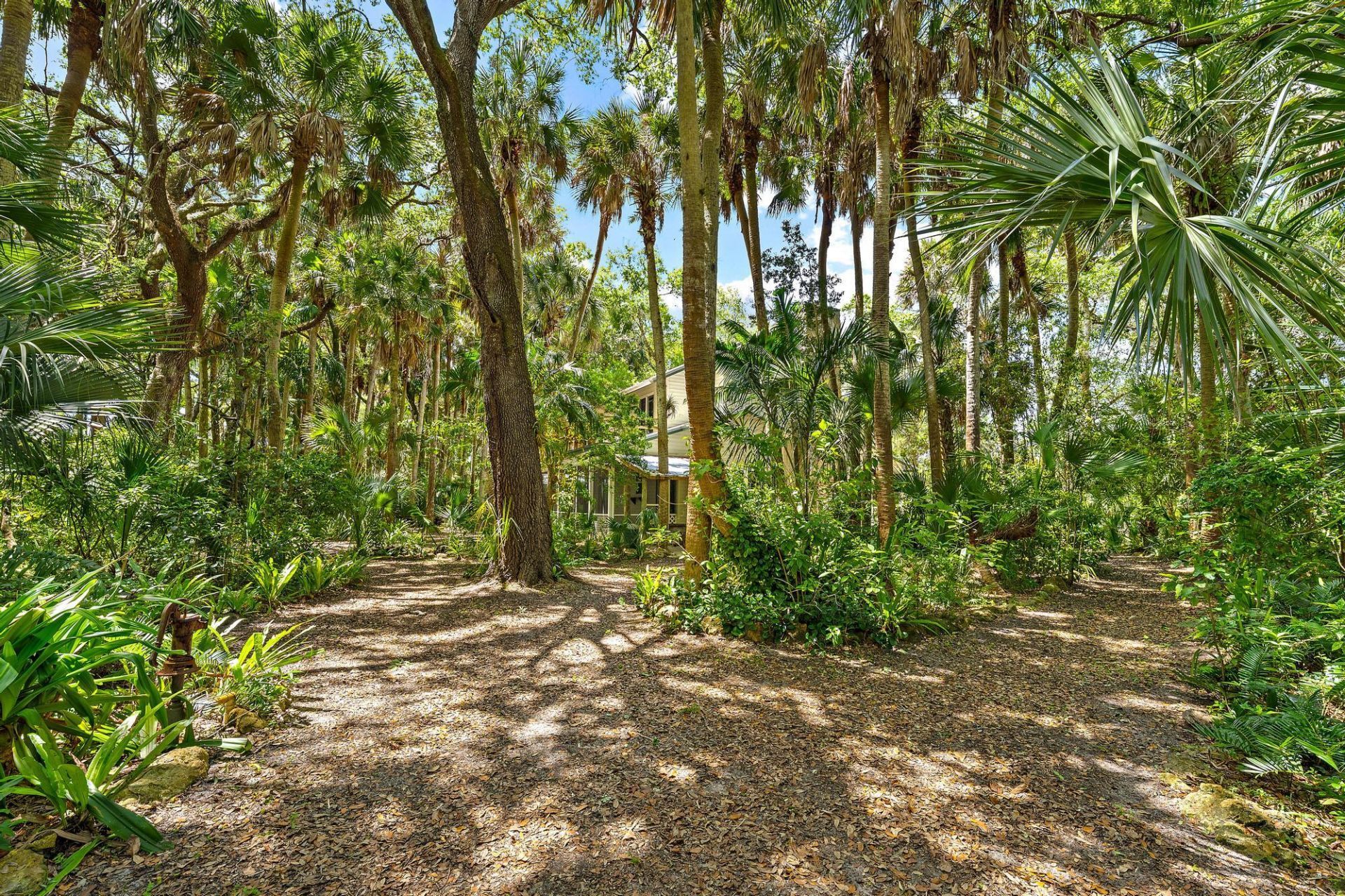 15740 N 99th St Street N, The Acreage, FL 33412 Photo