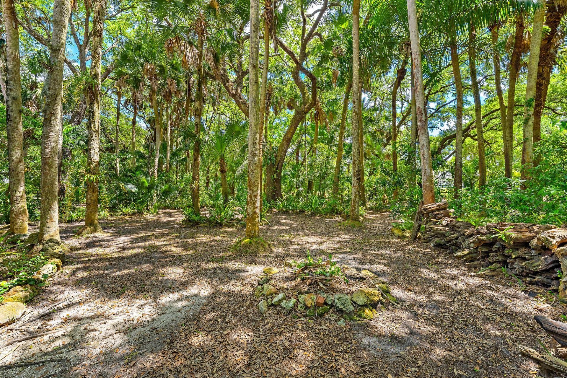 15740 N 99th St Street N, The Acreage, FL 33412 Photo