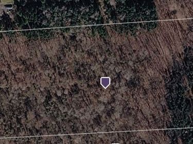 01 State Route 90 , Cayuga, NY 13034