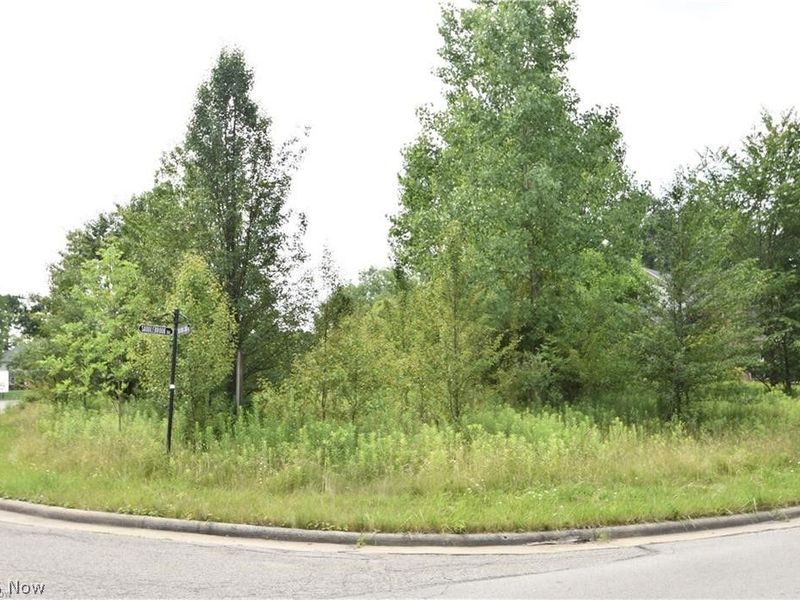 Saddlebrook Lot 156 Drive, Boardman, OH 44512 Photo 2