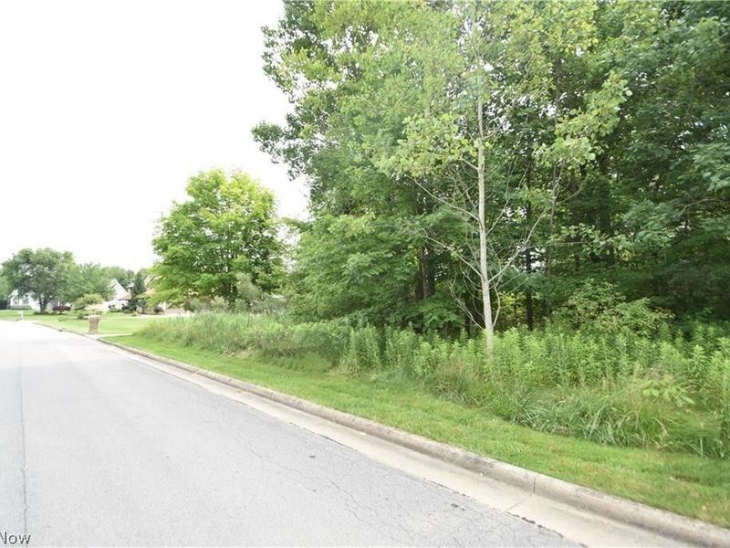 Saddlebrook Lot 156 Drive, Boardman, OH 44512 Photo 4