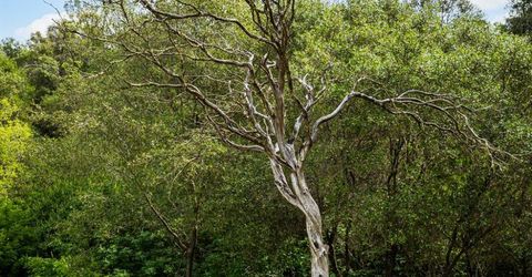 1608 Good Pasture Ct, Placerville, CA 95667 Photo