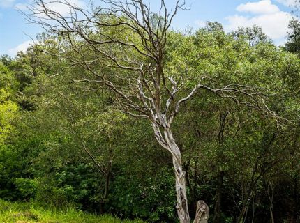 1608 Good Pasture Ct, Placerville, CA 95667 Photo