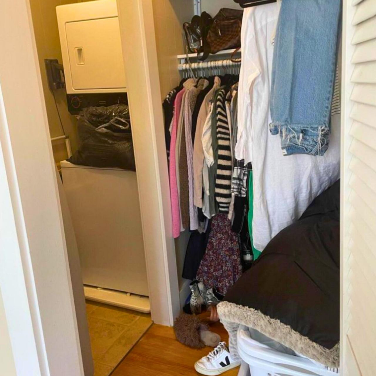 64 Avondale Avenue Photo 10