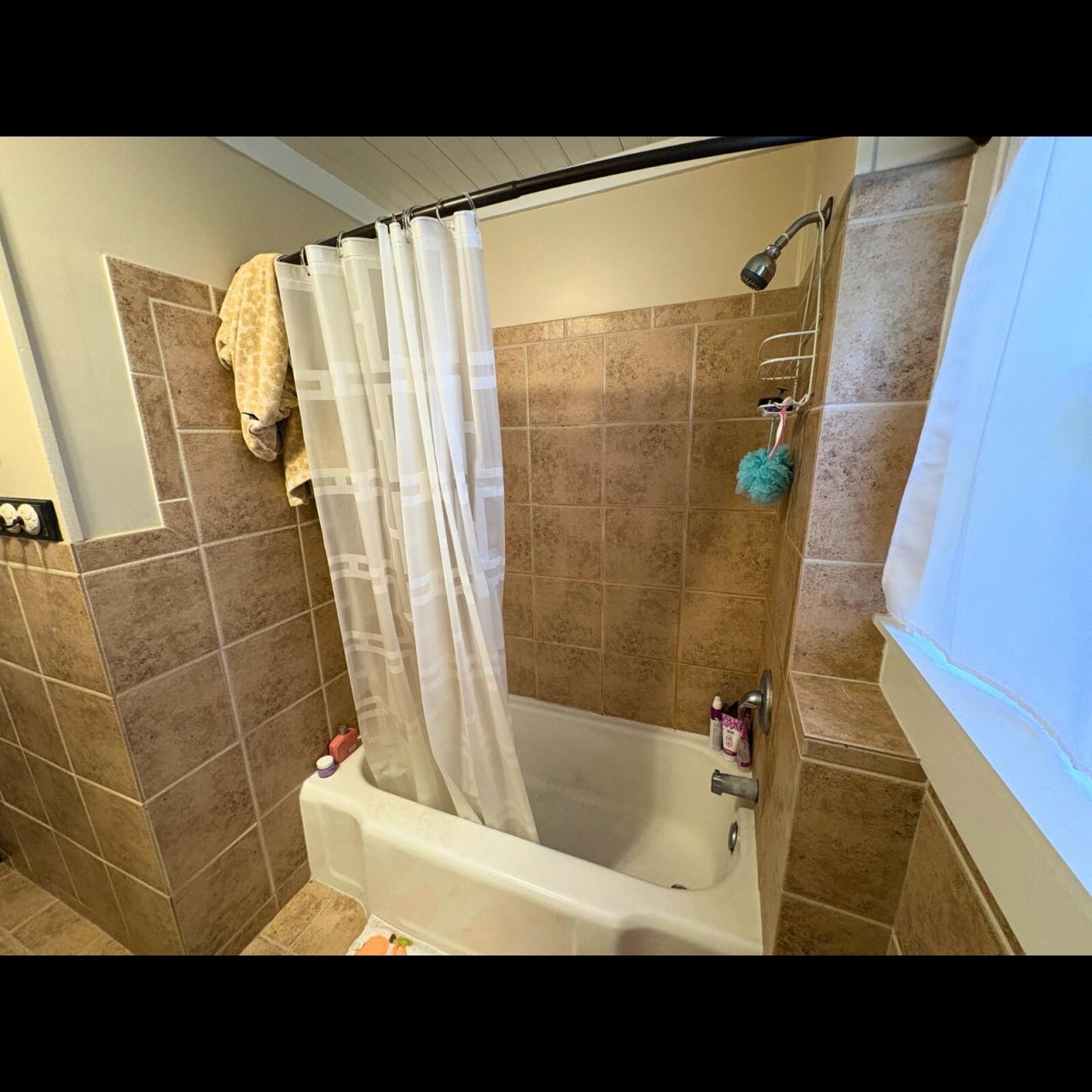 64 Avondale Avenue Photo 11