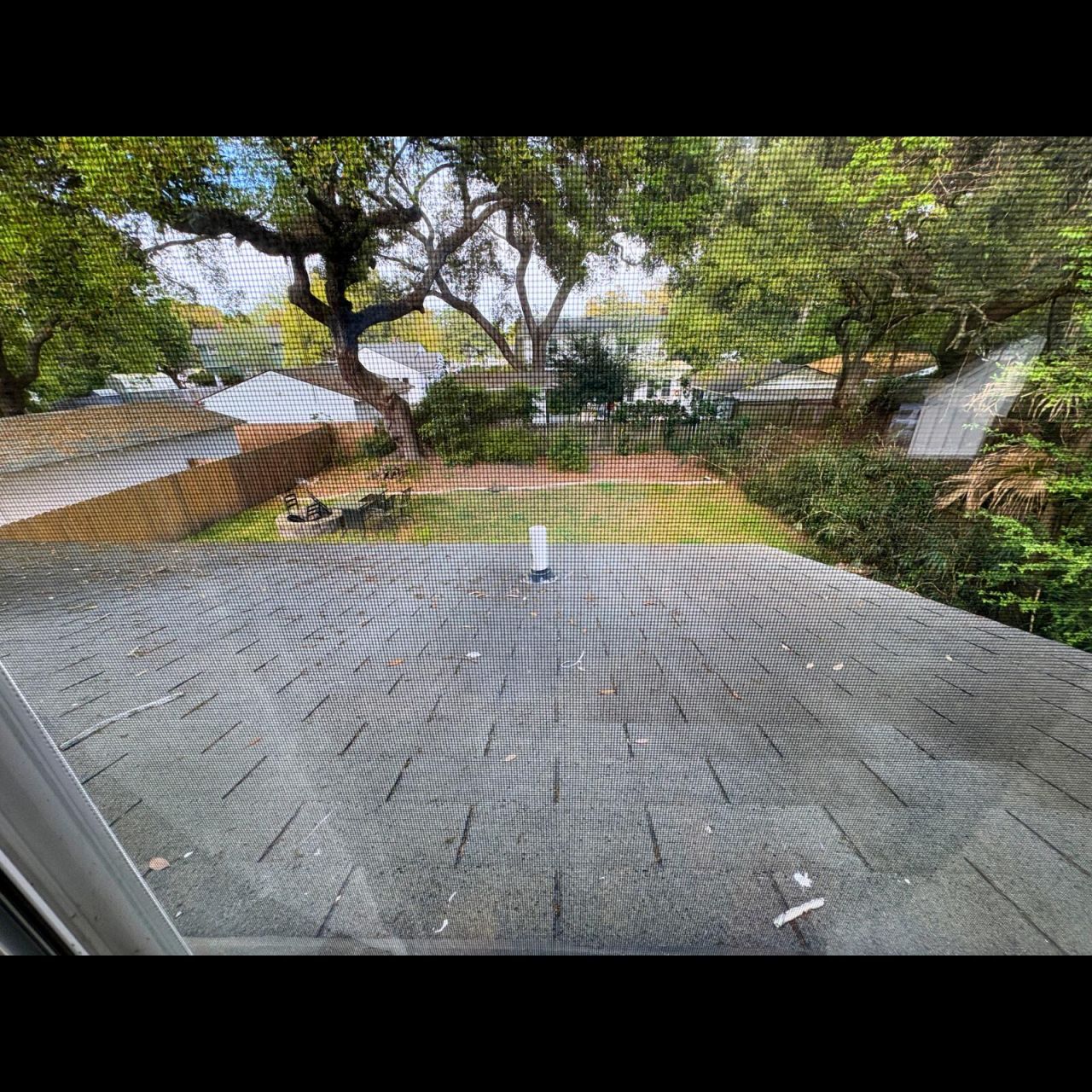 64 Avondale Avenue Photo 13