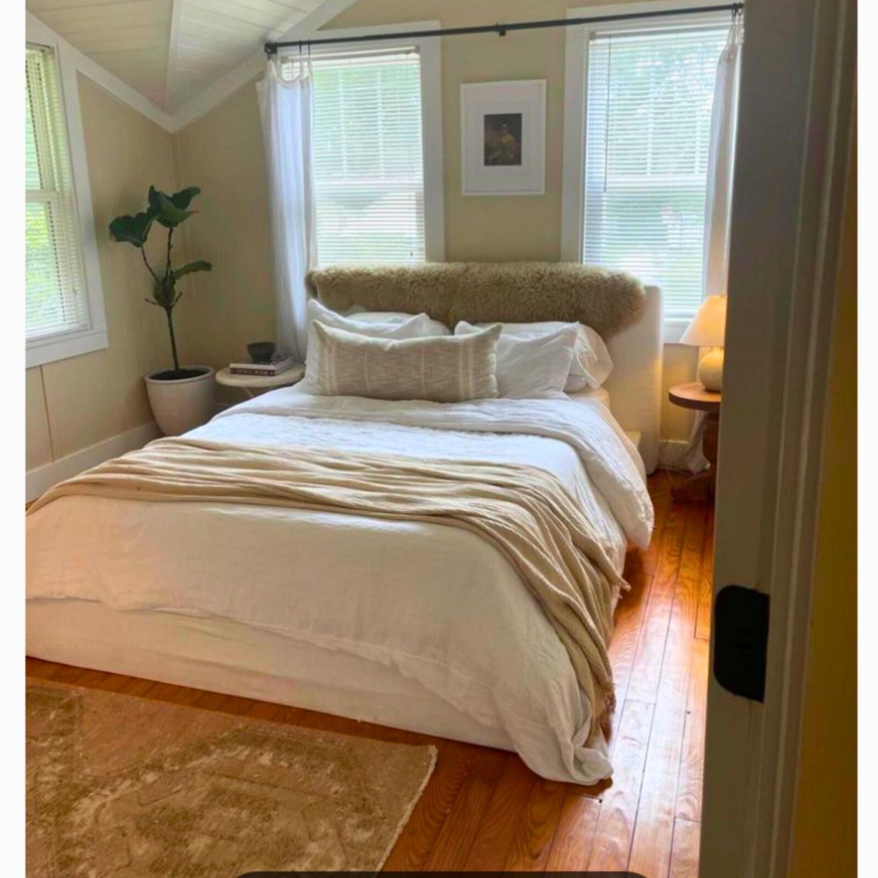 64 Avondale Avenue Photo 8