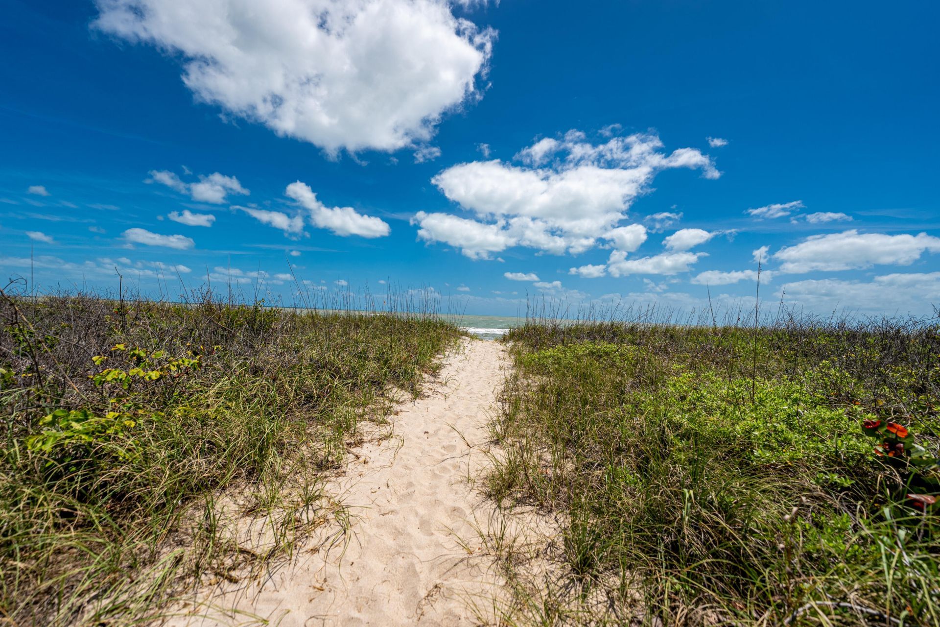 2900 N Highway, Hutchinson Island, FL 34949 Photo