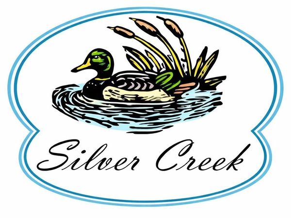 8796 Cedar Creek Drive, Petoskey, MI 49770