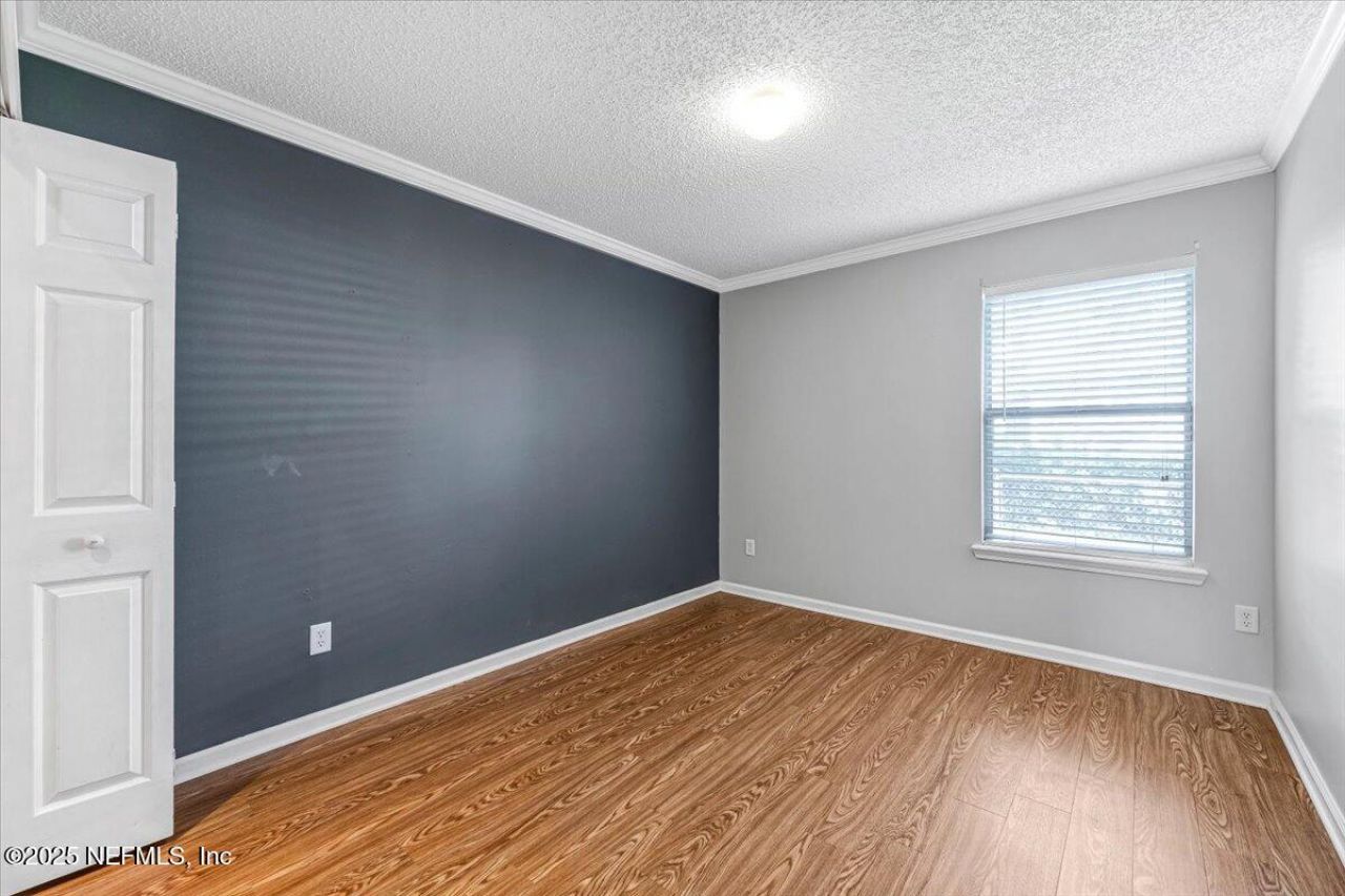 1367 Spanish Needle Court, Orange Park, FL 32073 Photo