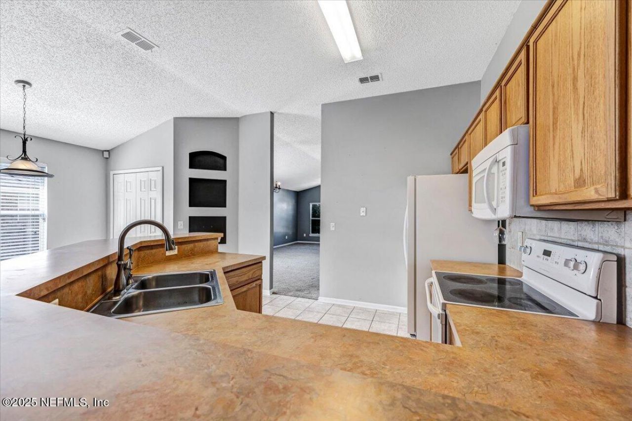 1367 Spanish Needle Court, Orange Park, FL 32073 Photo