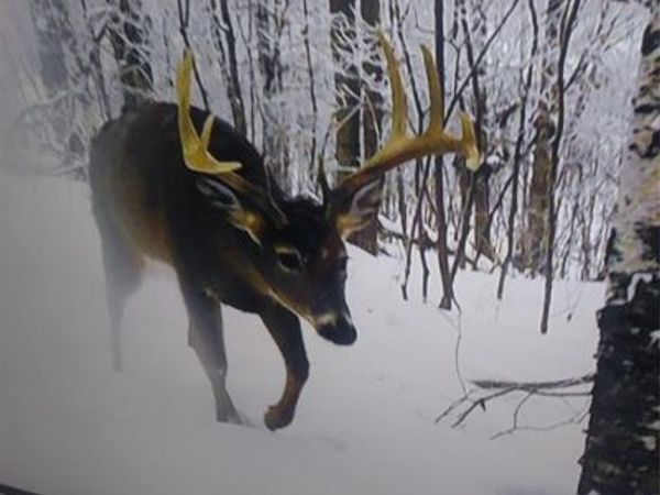 2339 150th 150th Street, Luck, WI 54853