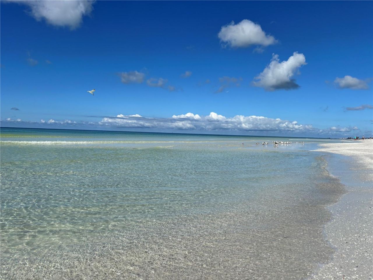 5476 Swift Road, Unit 19, Sarasota, FL 34231 Photo