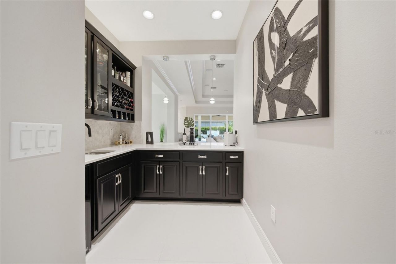 2420 Coco Palm Circle, Wesley Chapel, FL 33543 Photo