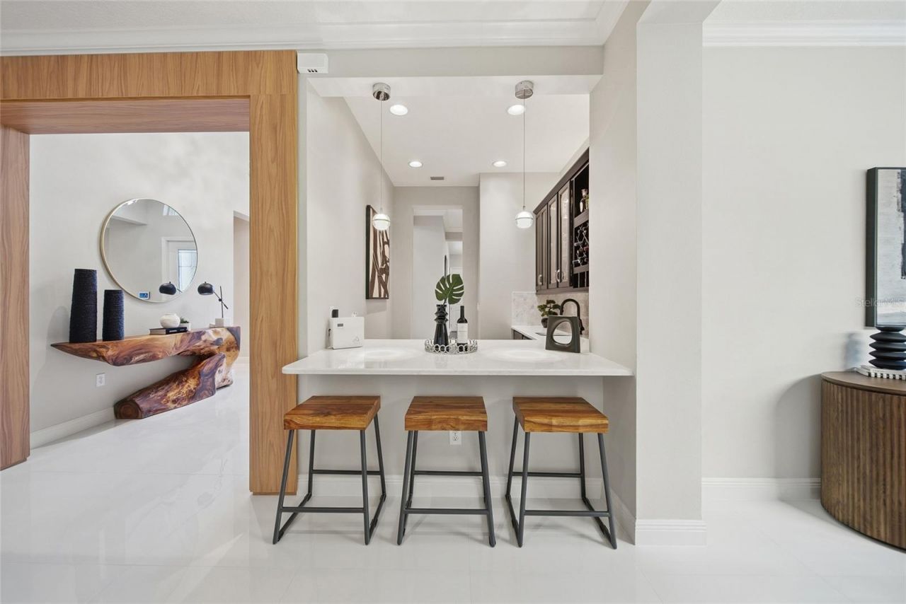 2420 Coco Palm Circle, Wesley Chapel, FL 33543 Photo