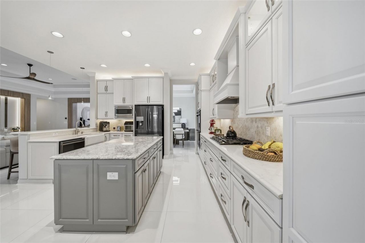 2420 Coco Palm Circle, Wesley Chapel, FL 33543 Photo