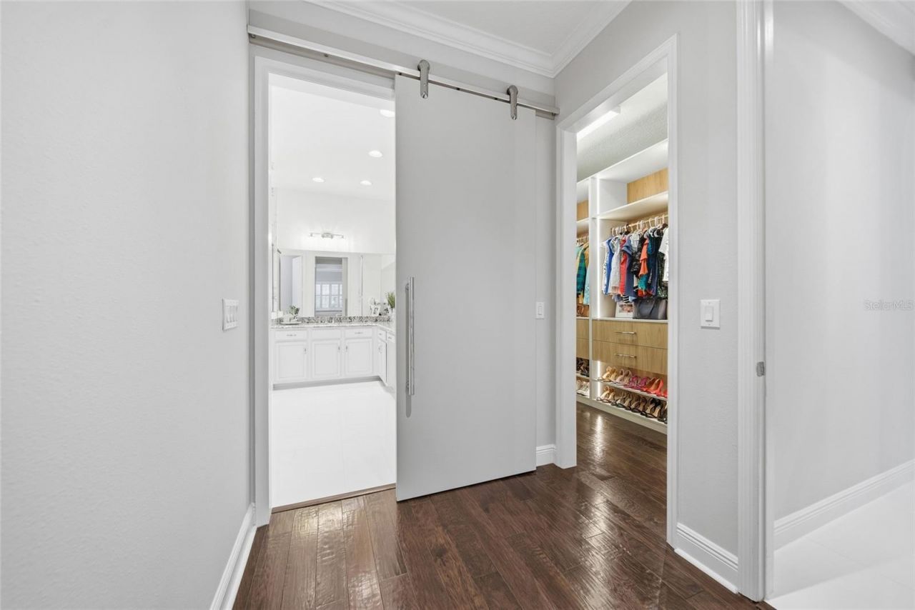 2420 Coco Palm Circle, Wesley Chapel, FL 33543 Photo