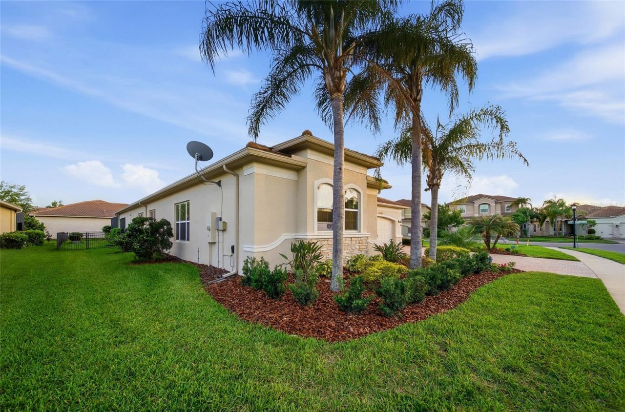2420 Coco Palm Circle, Wesley Chapel, FL 33543 Photo