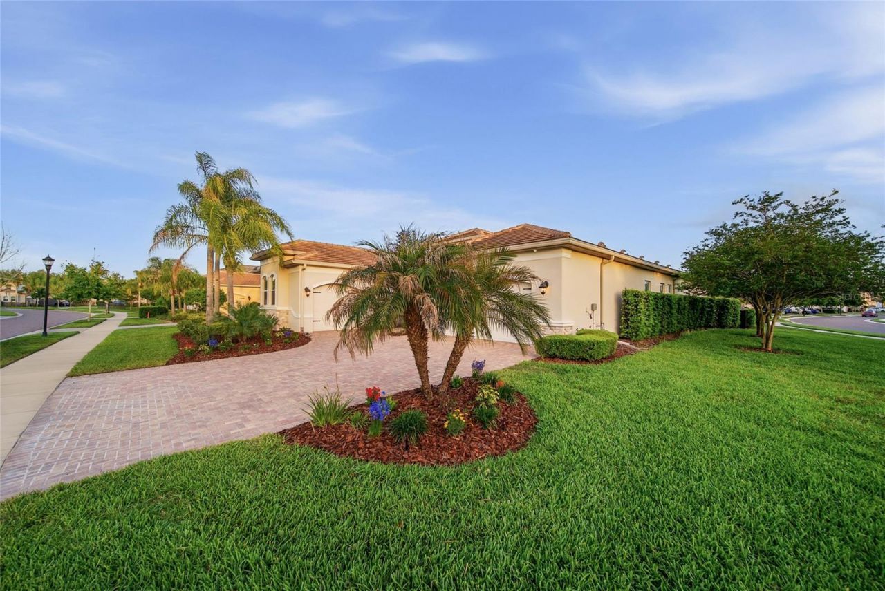 2420 Coco Palm Circle, Wesley Chapel, FL 33543 Photo