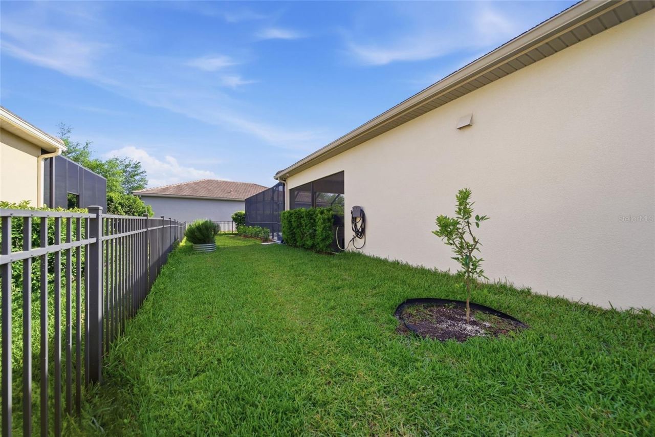 2420 Coco Palm Circle, Wesley Chapel, FL 33543 Photo