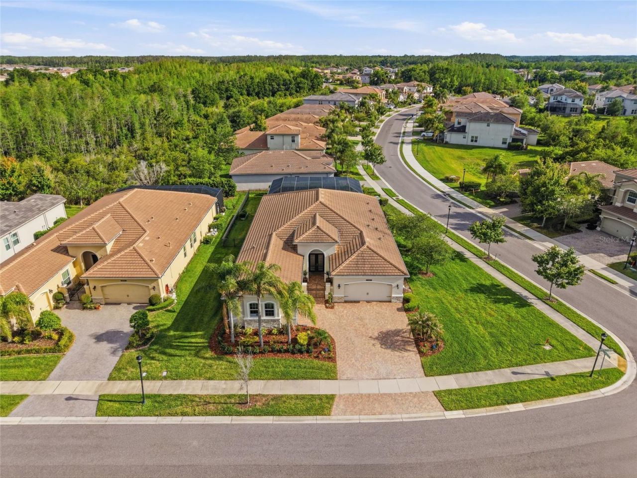 2420 Coco Palm Circle, Wesley Chapel, FL 33543 Photo