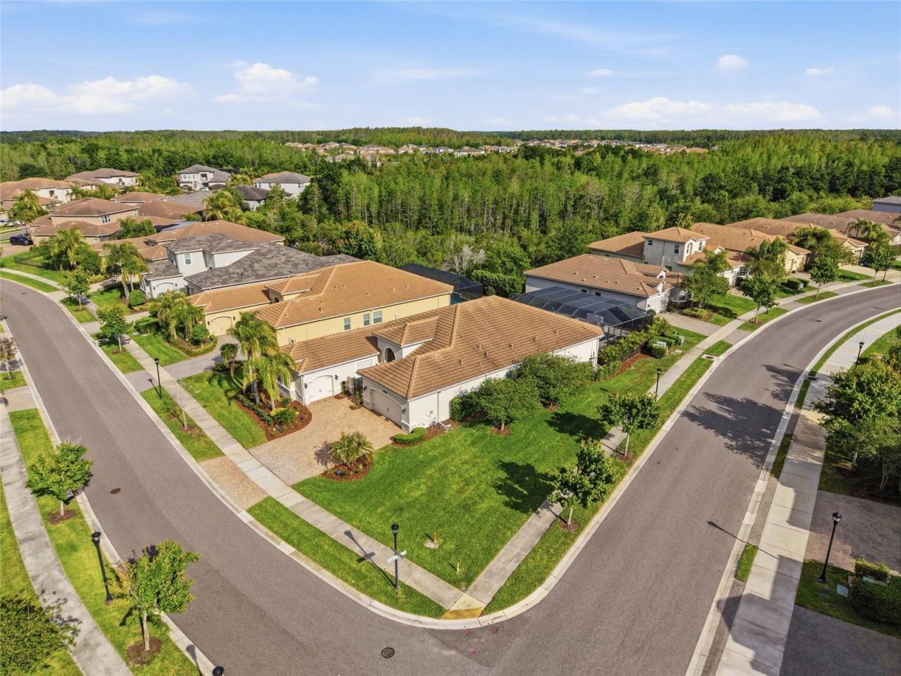 2420 Coco Palm Circle, Wesley Chapel, FL 33543 Photo