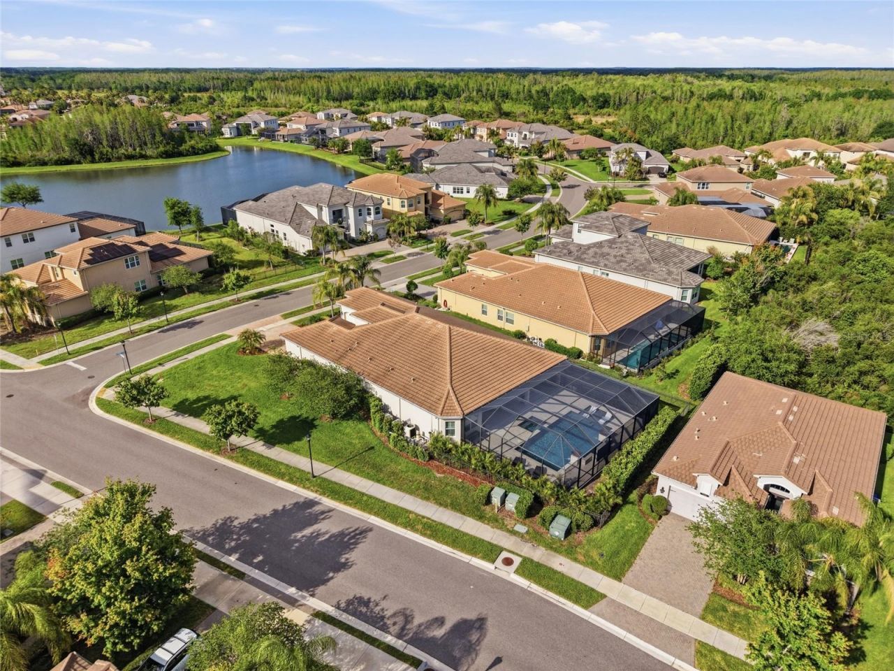 2420 Coco Palm Circle, Wesley Chapel, FL 33543 Photo