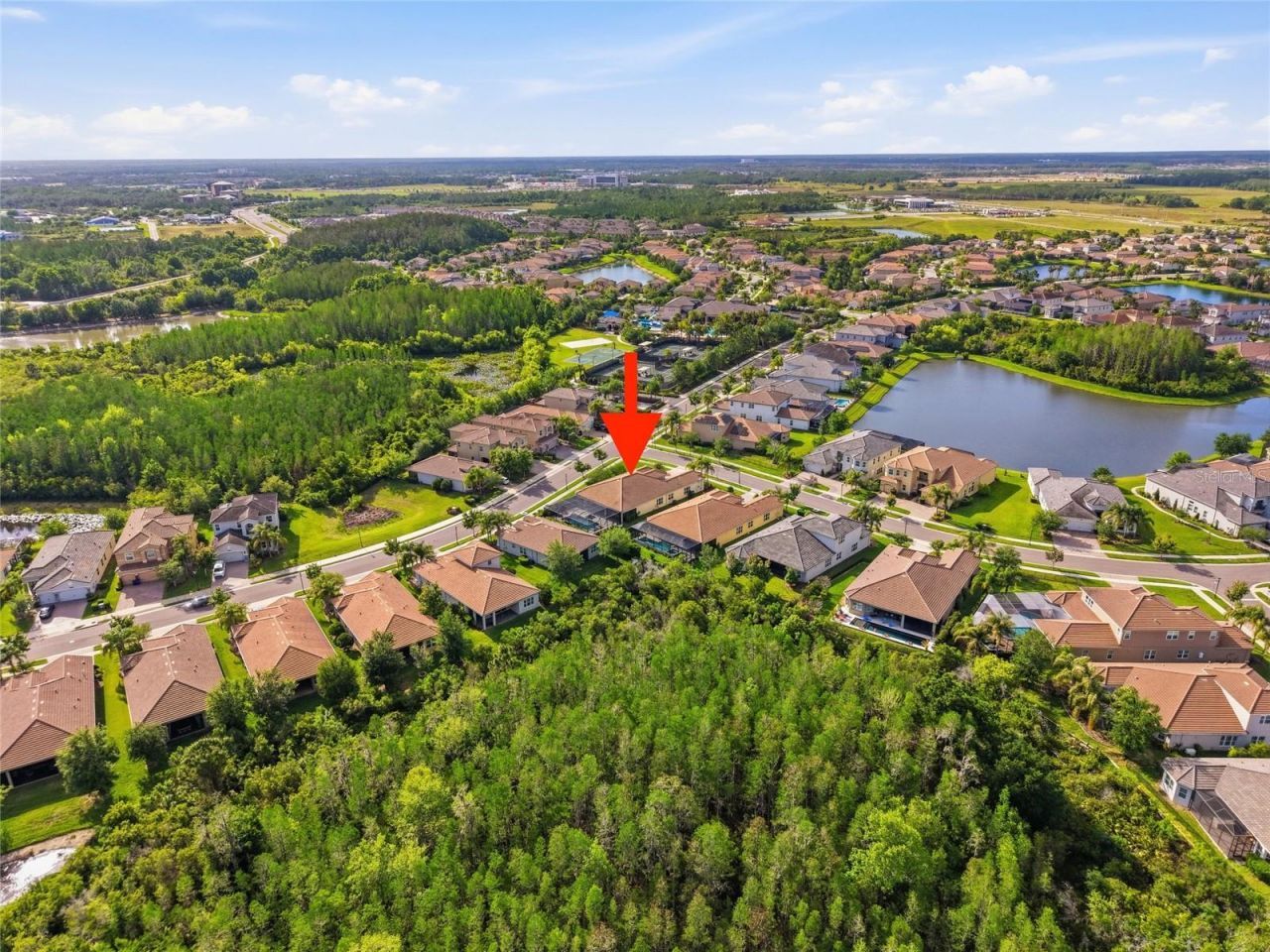 2420 Coco Palm Circle, Wesley Chapel, FL 33543 Photo