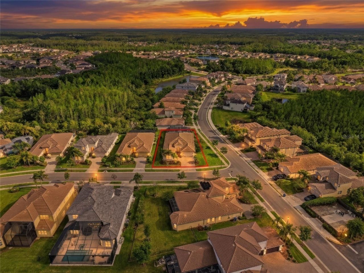 2420 Coco Palm Circle, Wesley Chapel, FL 33543 Photo