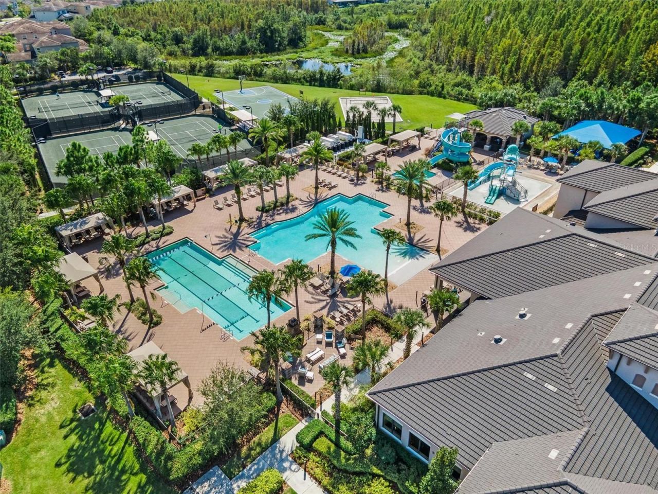 2420 Coco Palm Circle, Wesley Chapel, FL 33543 Photo