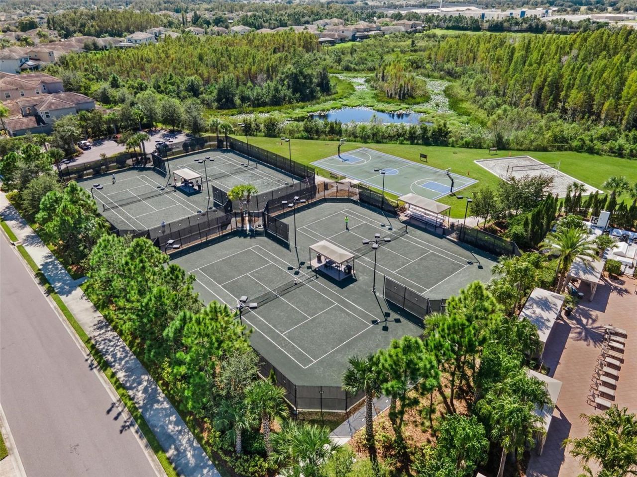 2420 Coco Palm Circle, Wesley Chapel, FL 33543 Photo