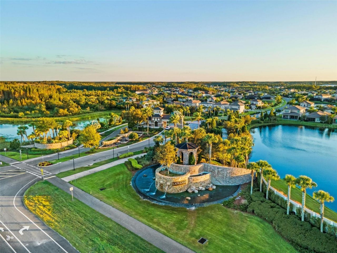 2420 Coco Palm Circle, Wesley Chapel, FL 33543 Photo