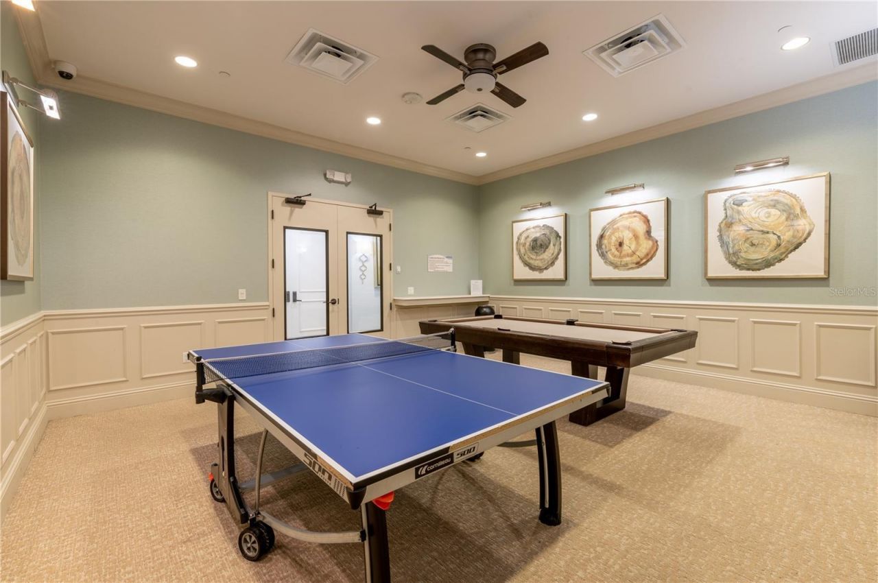 2420 Coco Palm Circle, Wesley Chapel, FL 33543 Photo