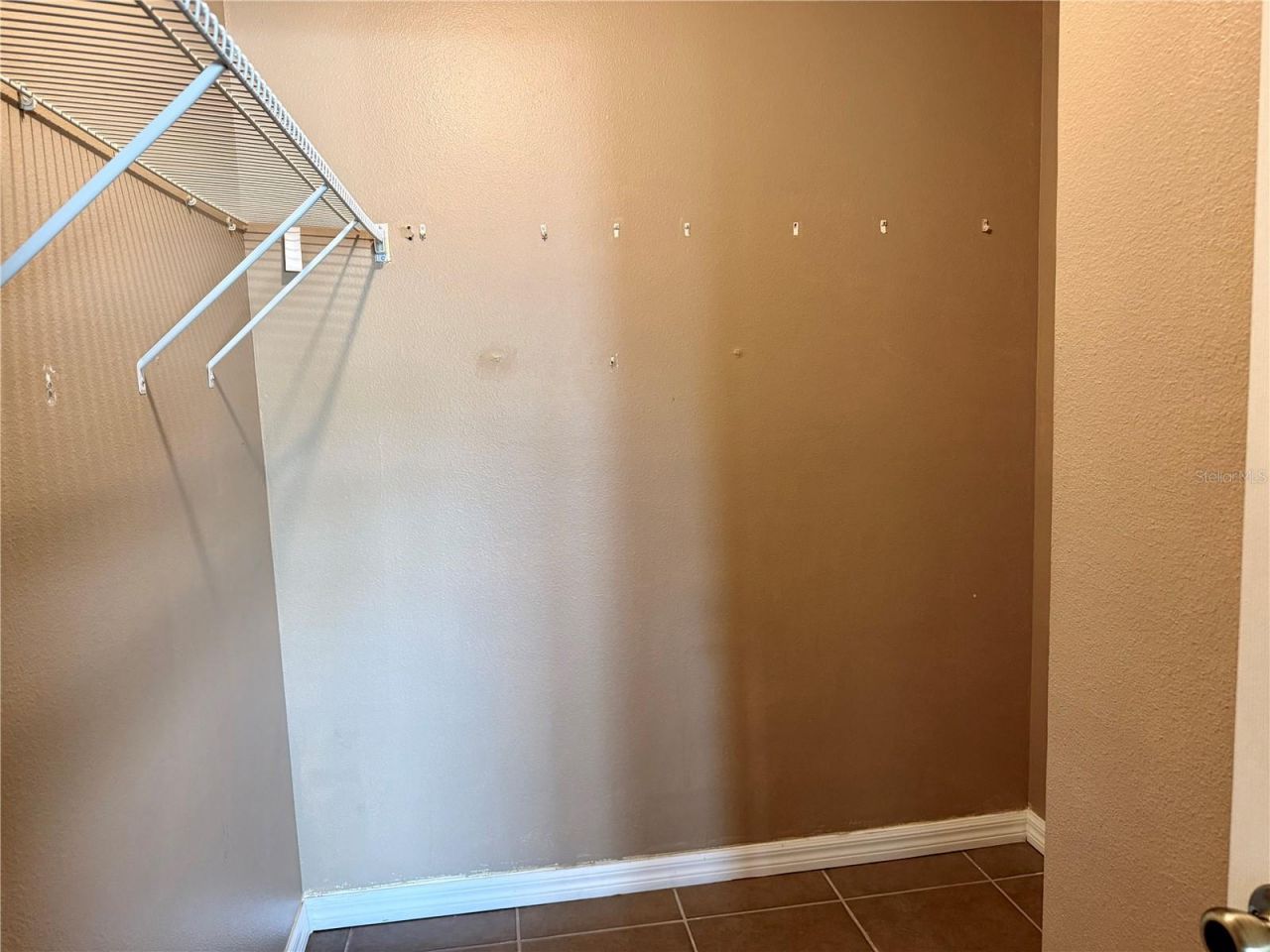 1453 Whooping Drive, Groveland, FL 34736 Photo