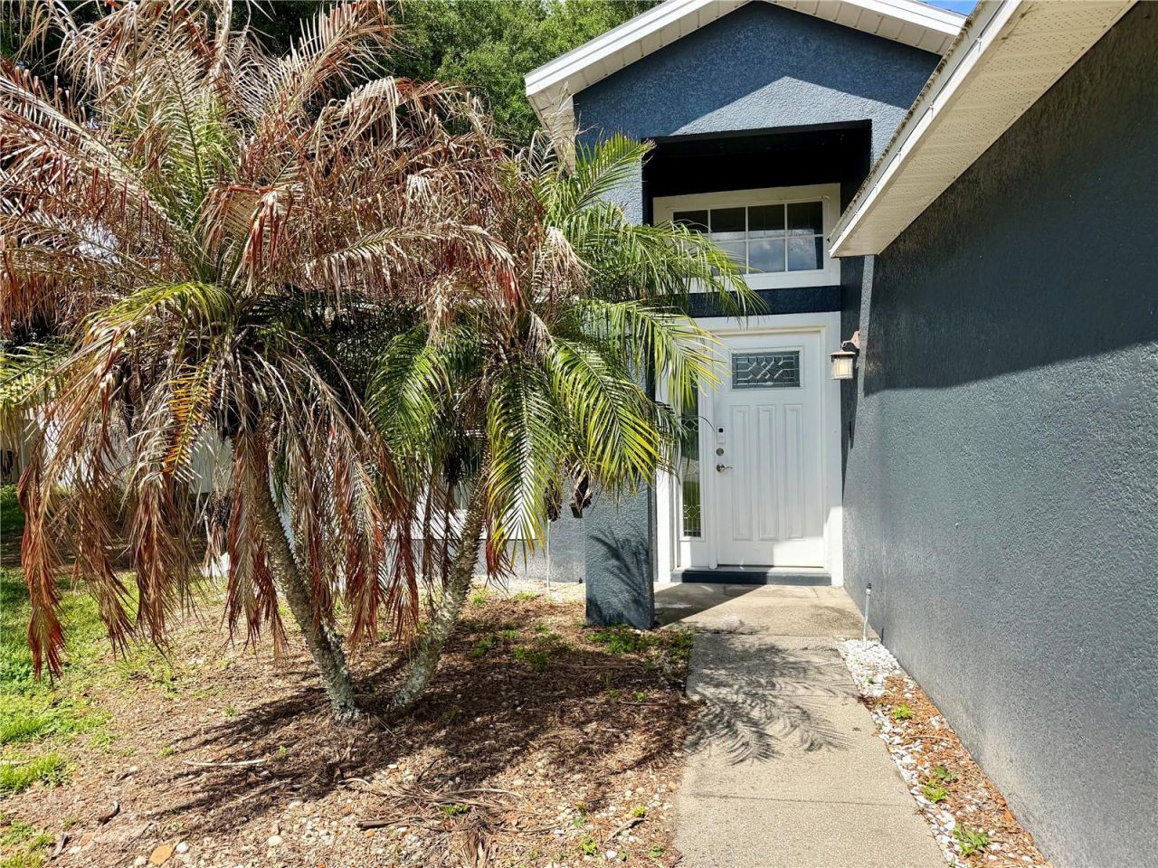 1453 Whooping Drive, Groveland, FL 34736 Photo