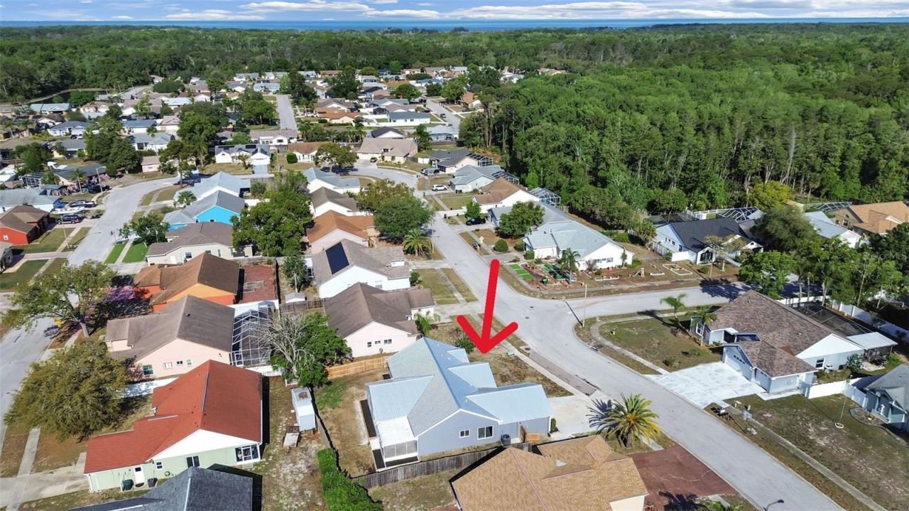 10328 Rainbow Oaks Drive, Hudson, FL 34667 Photo